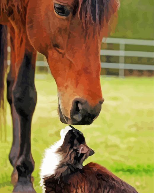 Cat And Horse In Farm Diamond Paintings