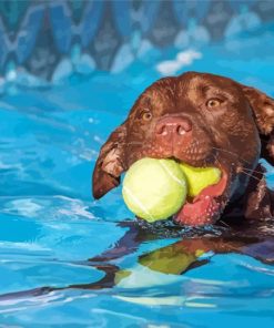 Dog In Pool Diamond Paintings