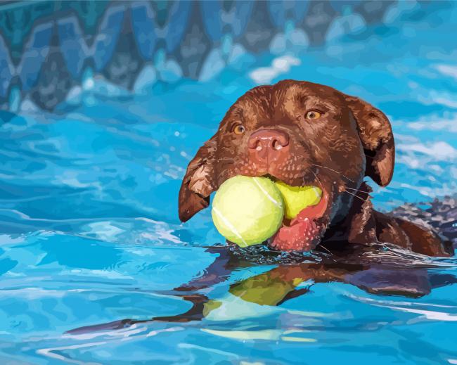 Dog In Pool Diamond Paintings