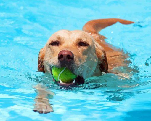 Dog Playing In Pool Diamond Paintings