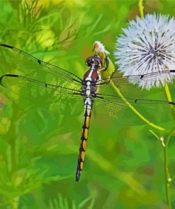 Dragonfly And Dandelion Diamond Paintings