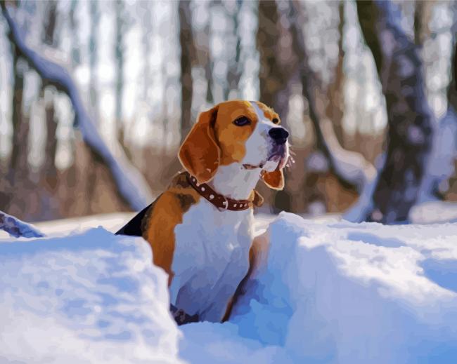 Drever Dog In Snow Diamond Paintings