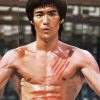 Enter The Dragon Character Diamond Paintings