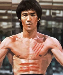 Enter The Dragon Character Diamond Paintings