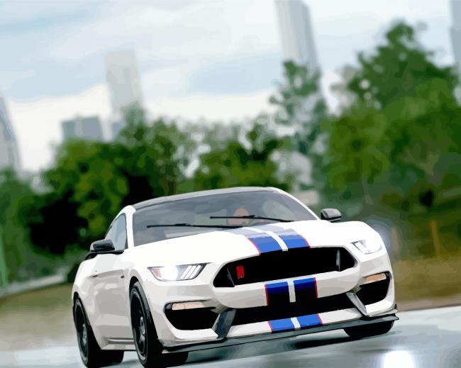 Ford Shelby GT350R On Road Diamond Paintings