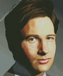 Fox Mulder Art Diamond Paintings