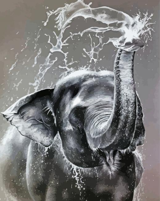 Grey And White Elephant Diamond Paintings