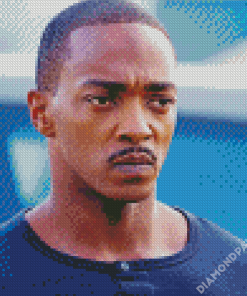 Actor Anthony Mackie Diamond Paintings