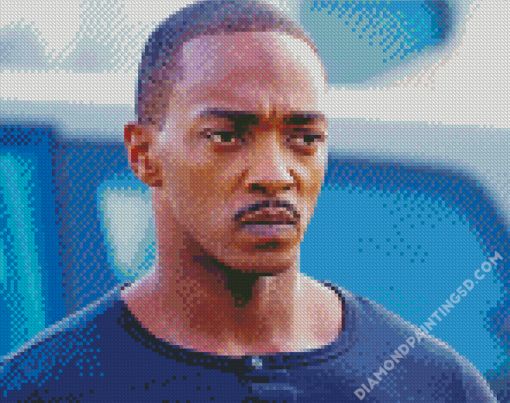 Actor Anthony Mackie Diamond Paintings