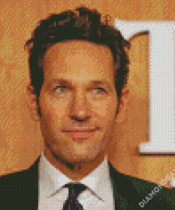 Actor Paul Rudd Diamond Paintings