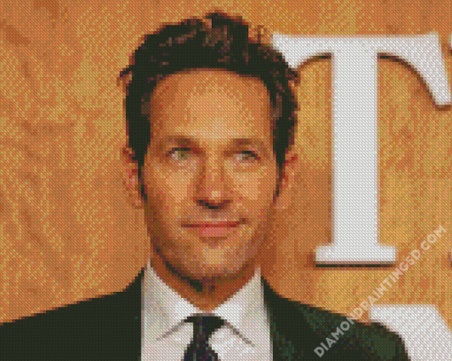 Actor Paul Rudd Diamond Paintings