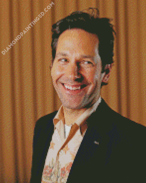 American Actor Paul Rudd Diamond Paintings