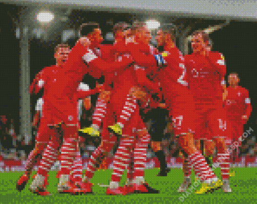 Barnsley Fc Players Diamond Paintings