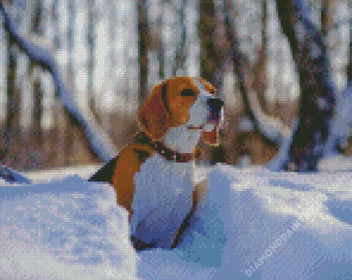 Drever Dog In Snow Diamond Paintings