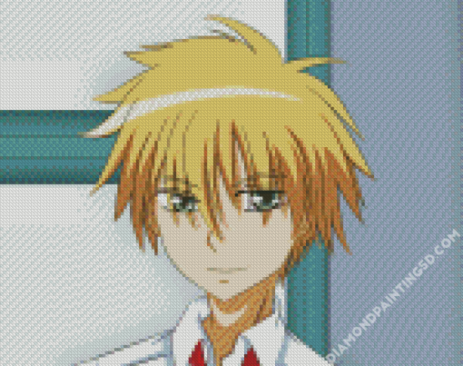 Takumi Usui Anime Character Diamond Paintings