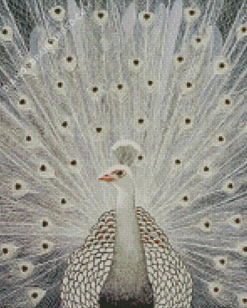 White Peacock Bird Diamond Paintings