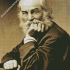 American Poet Walt Whitman Diamond Paintings