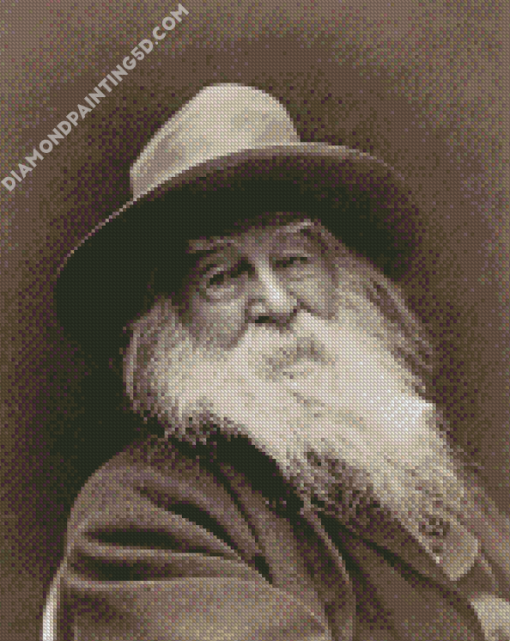 Black And White American Poet Walt Whitman Diamond Paintings