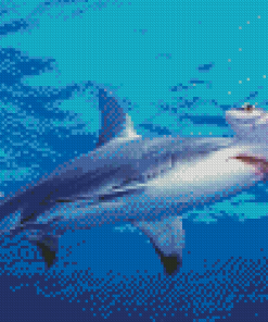 Hammerhead Shark Undersea Diamond Paintings