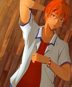 Kyo Sohma Fruits Basket Diamond Paintings