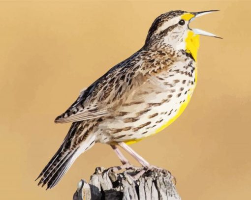 Meadowlarks Diamond Paintings