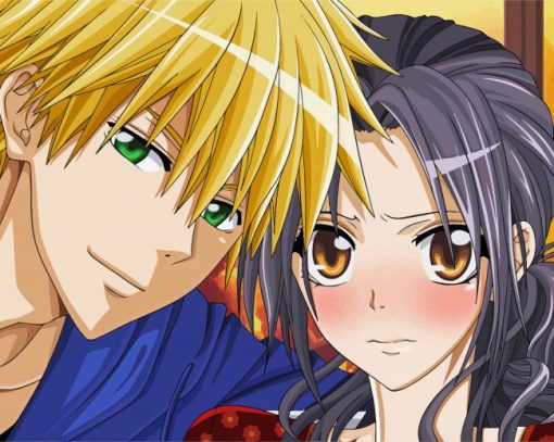 Misaki Ayuzawa And Usui Diamond Paintings