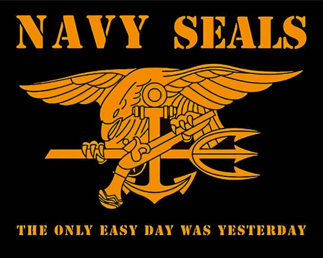 Navy Seal Logo Diamond Paintings