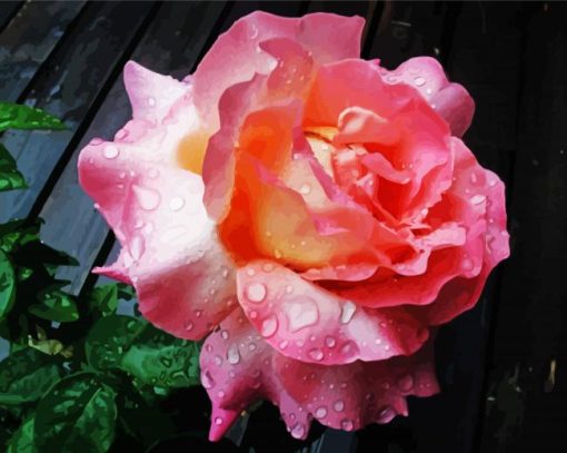 Roses With Rain Drops Diamond Paintings