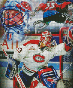 Aesthetic Patrick Roy Art Diamond Paintings