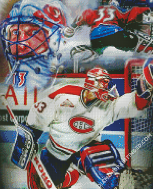 Aesthetic Patrick Roy Art Diamond Paintings