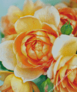 Aesthetic Peach Roses Diamond Paintings