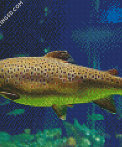 Aesthetic Brown Trout Diamond Paintings