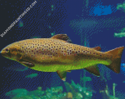 Aesthetic Brown Trout Diamond Paintings