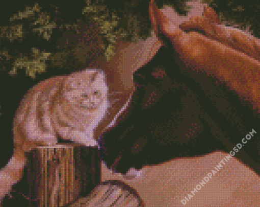 Cat And Horse Friends Art Diamond Paintings