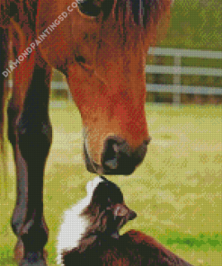 Cat And Horse In Farm Diamond Paintings