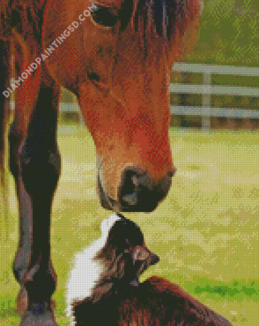 Cat And Horse In Farm Diamond Paintings