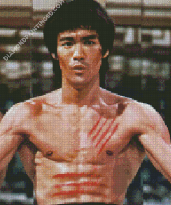 Enter The Dragon Character Diamond Paintings