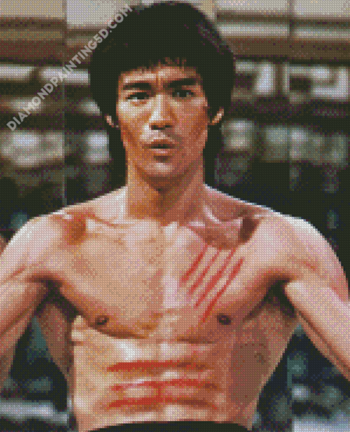 Enter The Dragon Character Diamond Paintings