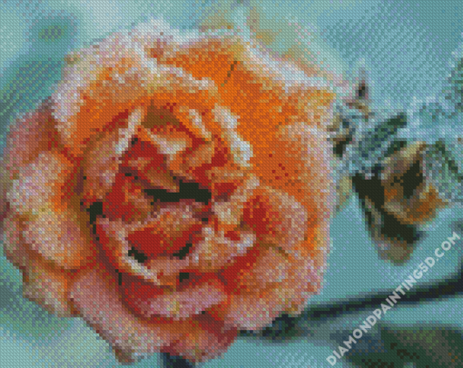 Frozen Peach Roses Diamond Paintings