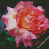 Roses With Rain Drops Diamond Paintings