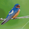 Swallow On Branch Diamond Paintings