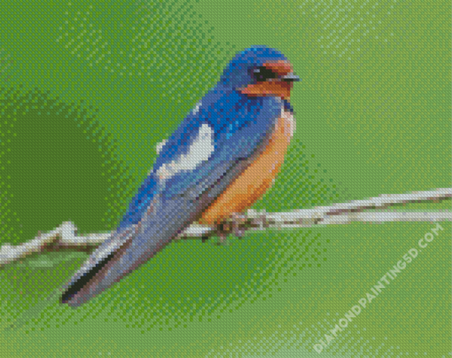 Swallow On Branch Diamond Paintings