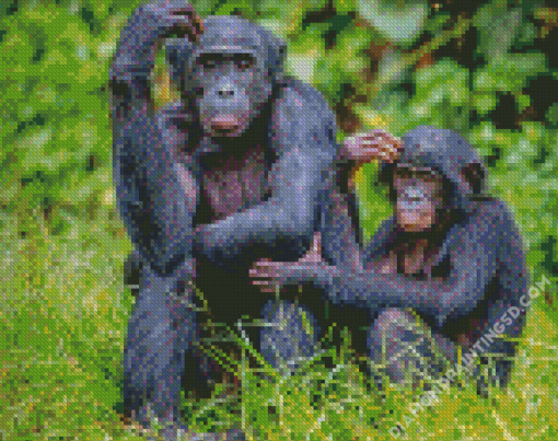 Bonobo Monkey Family Diamond Paintings