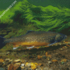 Brown Trout Underwater Diamond Paintings