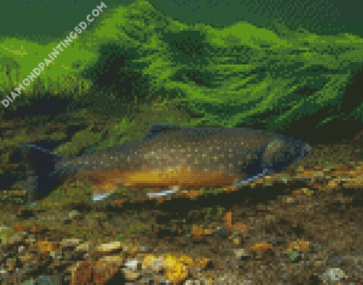 Brown Trout Underwater Diamond Paintings