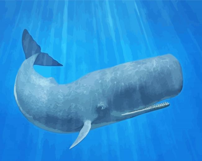 Sperm Whale Diamond Paintings