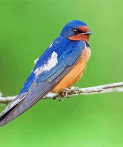 Swallow On Branch Diamond Paintings