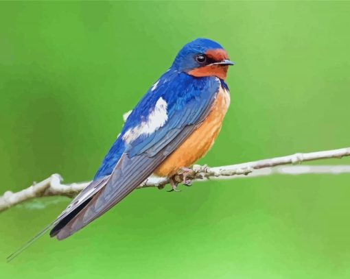 Swallow On Branch Diamond Paintings