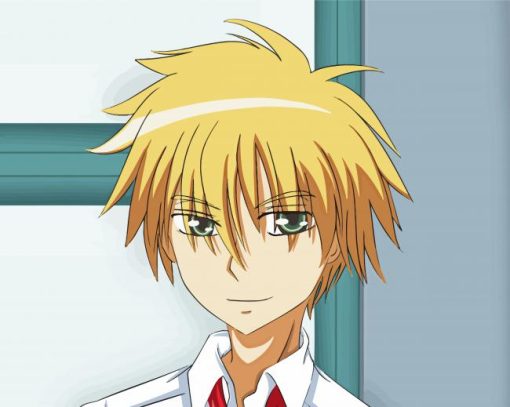 Takumi Usui Anime Character Diamond Paintings