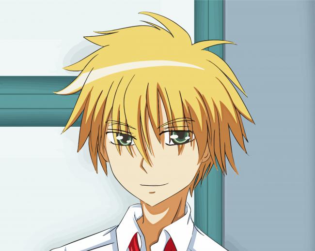 Takumi Usui Anime Character Diamond Paintings